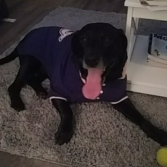 Meet your Posher, Heidi - Picture 4 of 4